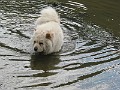 20040830_ 021